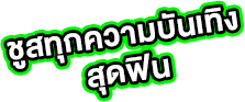 ชูสทุกความบันเทิงสุดฟิน