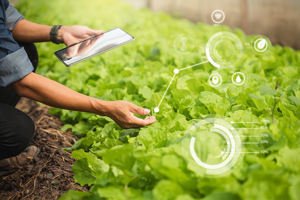 Farmer Plantation checking quality by tablet agriculture modern technology Concept. Smart farming, using modern technologies in agriculture. Man agronomist farmer with digital tablet computer.