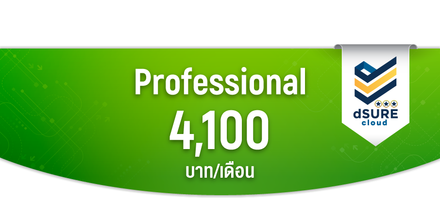 Cloud X Professional