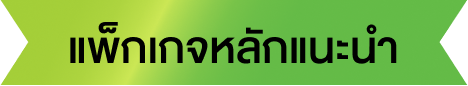 แพ็กเกจหลักแนะนำ