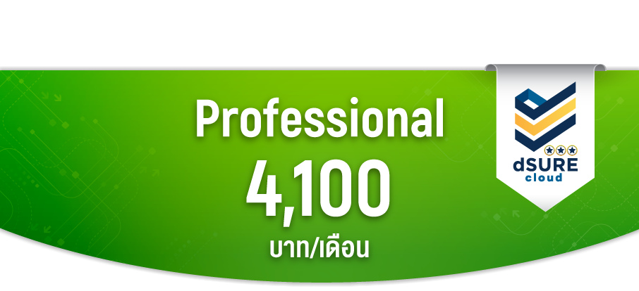 Cloud X Professional