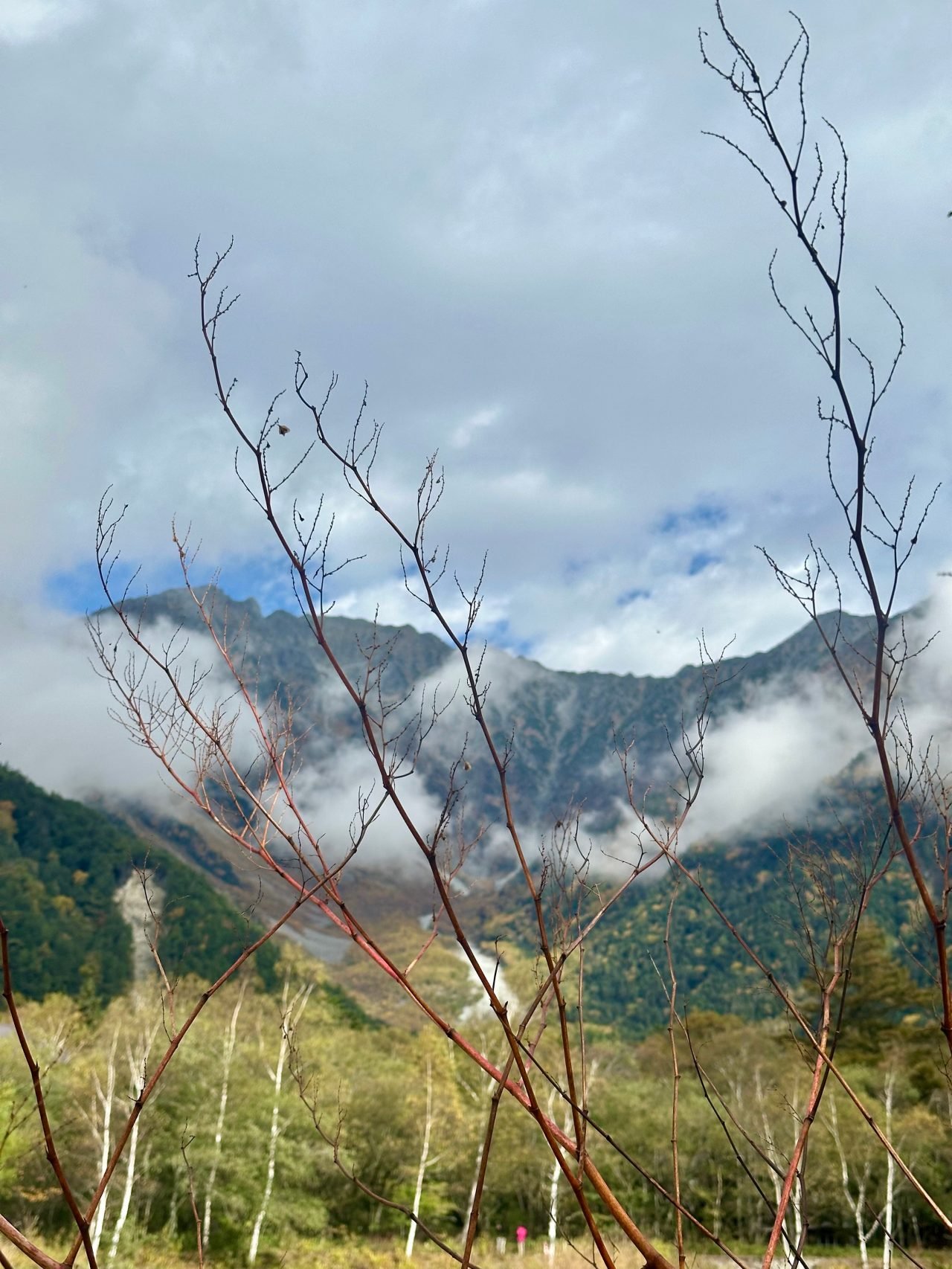 ดูพรีเมียร์ลีก 2025/26 กับ AIS PLAY และ MONOMAX ครบทุกแมตช์ในประเทศไทย