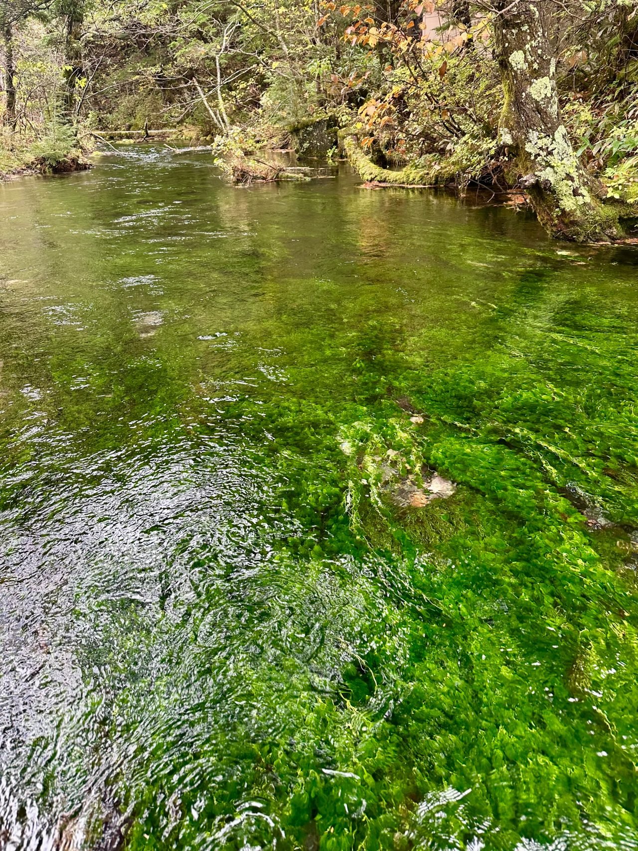 ดูพรีเมียร์ลีก 2025/26 กับ AIS PLAY และ MONOMAX ครบทุกแมตช์ในประเทศไทย