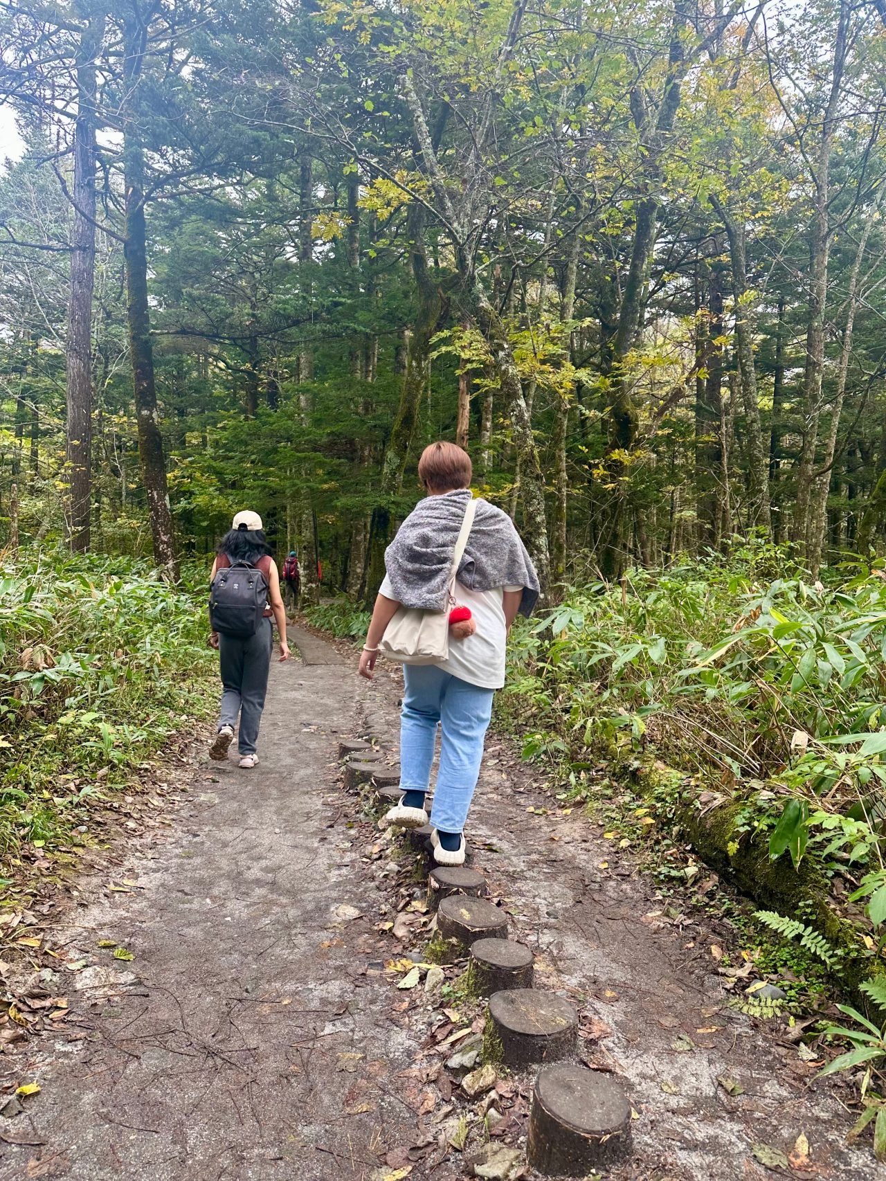 ดูพรีเมียร์ลีก 2025/26 กับ AIS PLAY และ MONOMAX ครบทุกแมตช์ในประเทศไทย