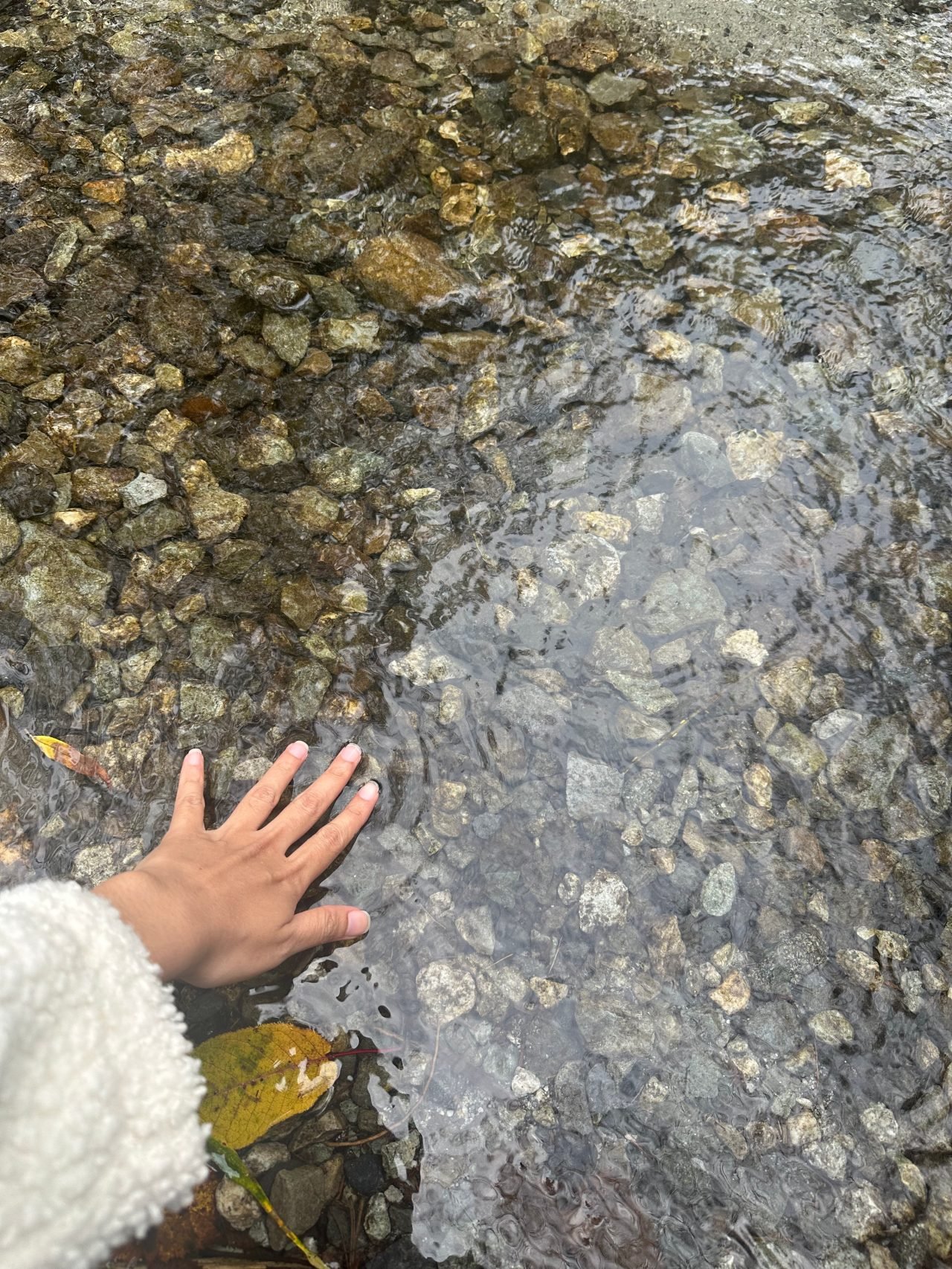 ดูพรีเมียร์ลีก 2025/26 กับ AIS PLAY และ MONOMAX ครบทุกแมตช์ในประเทศไทย