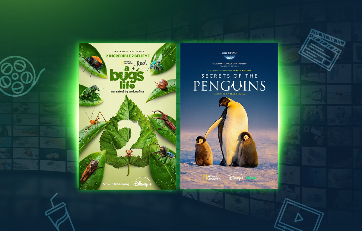 สมัครแพ็กเกจพรีเมียร์ลีก AIS ดูครบ 380 แมตช์ คมชัด Full HD