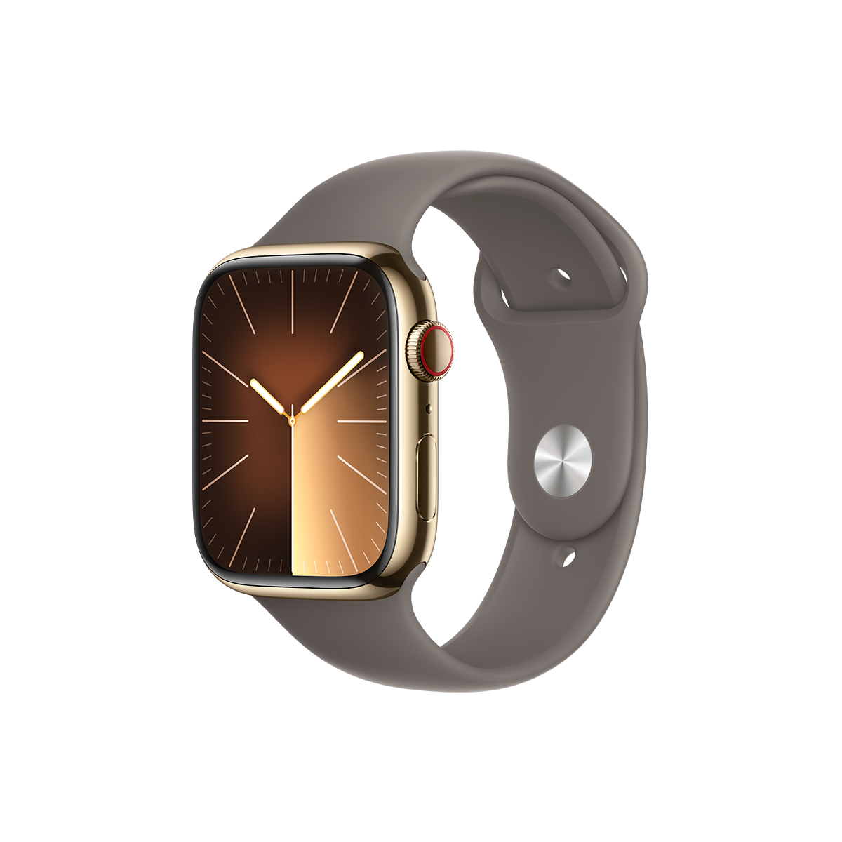 Apple Watch Series 9 GPS + Cellular 45mm ตัวเรือน Stainless Steel สี