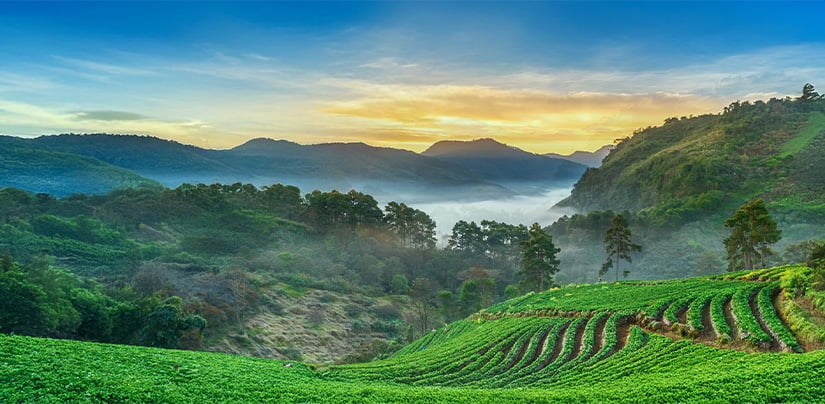 highlight-window-right