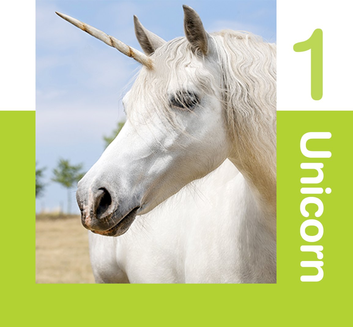 Unicorn - Startup Thailand